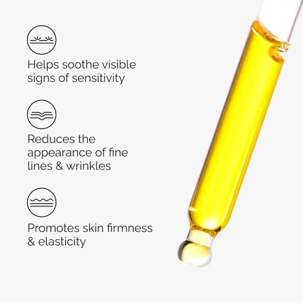 100% Fermented Rose Hip Seed Oil - Image 2