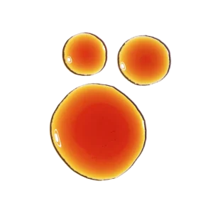 Pycnogenol 5%