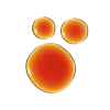 Pycnogenol 5%